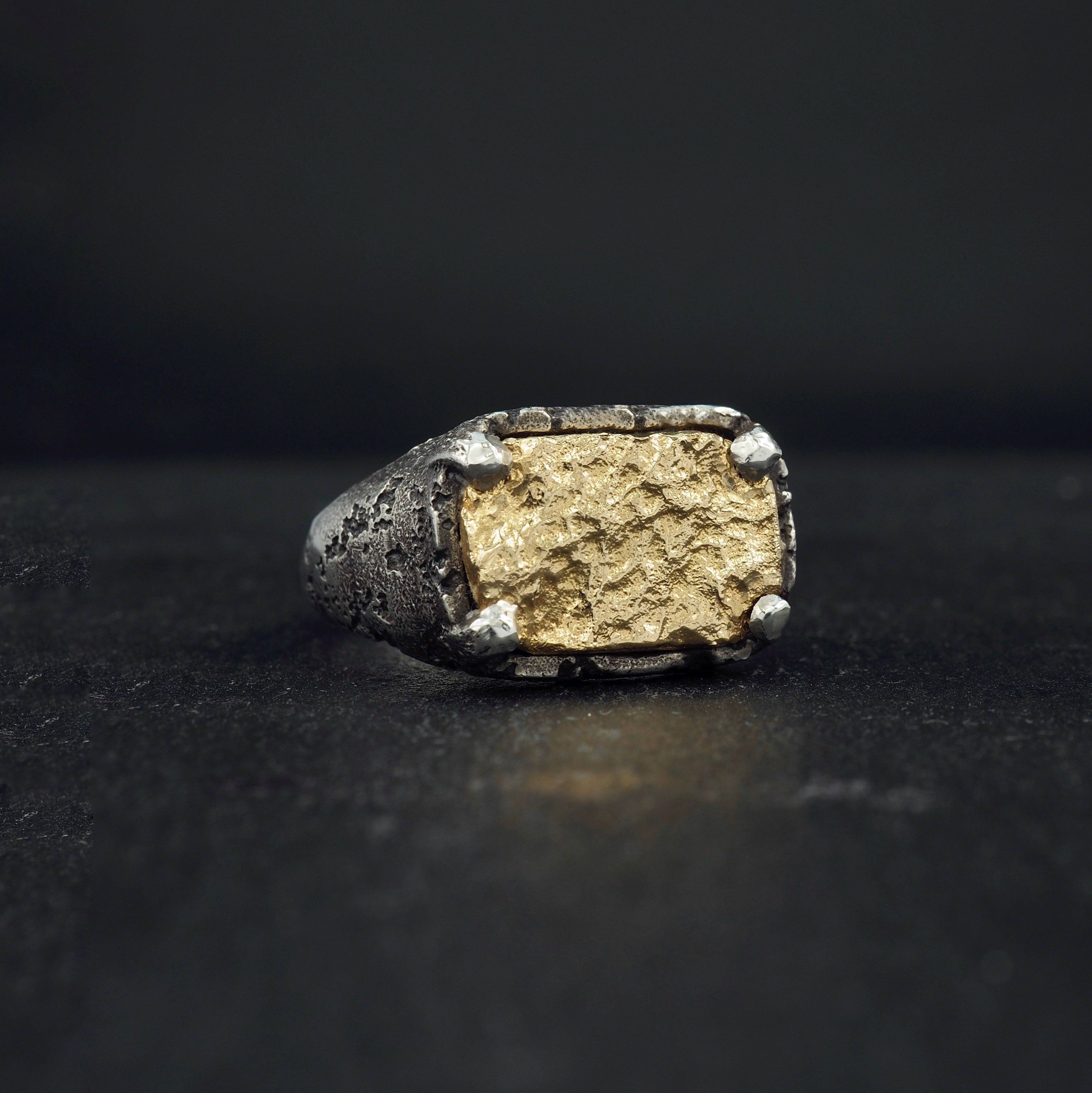 Terra medallion rectangle signet