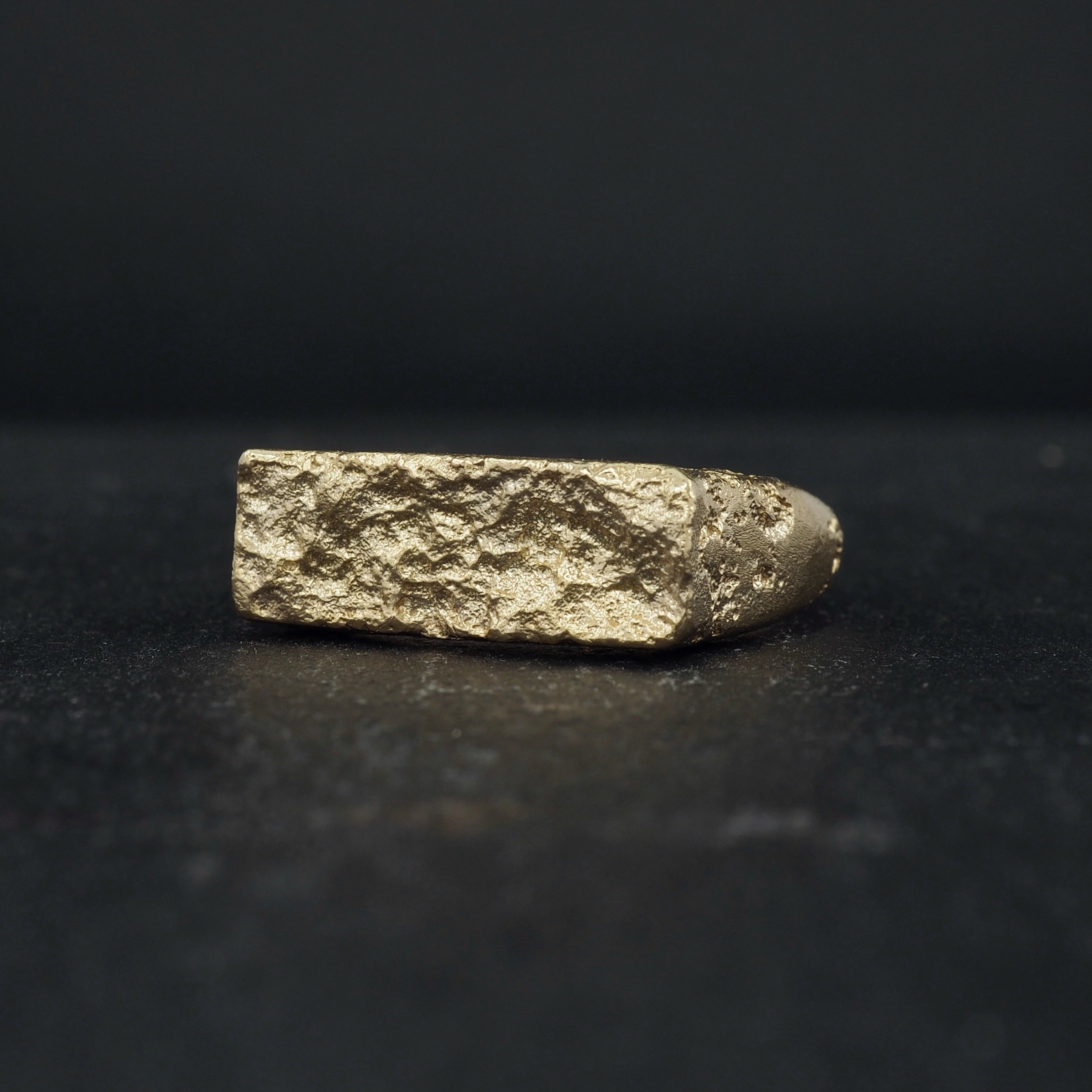 Terra long rectangle signet