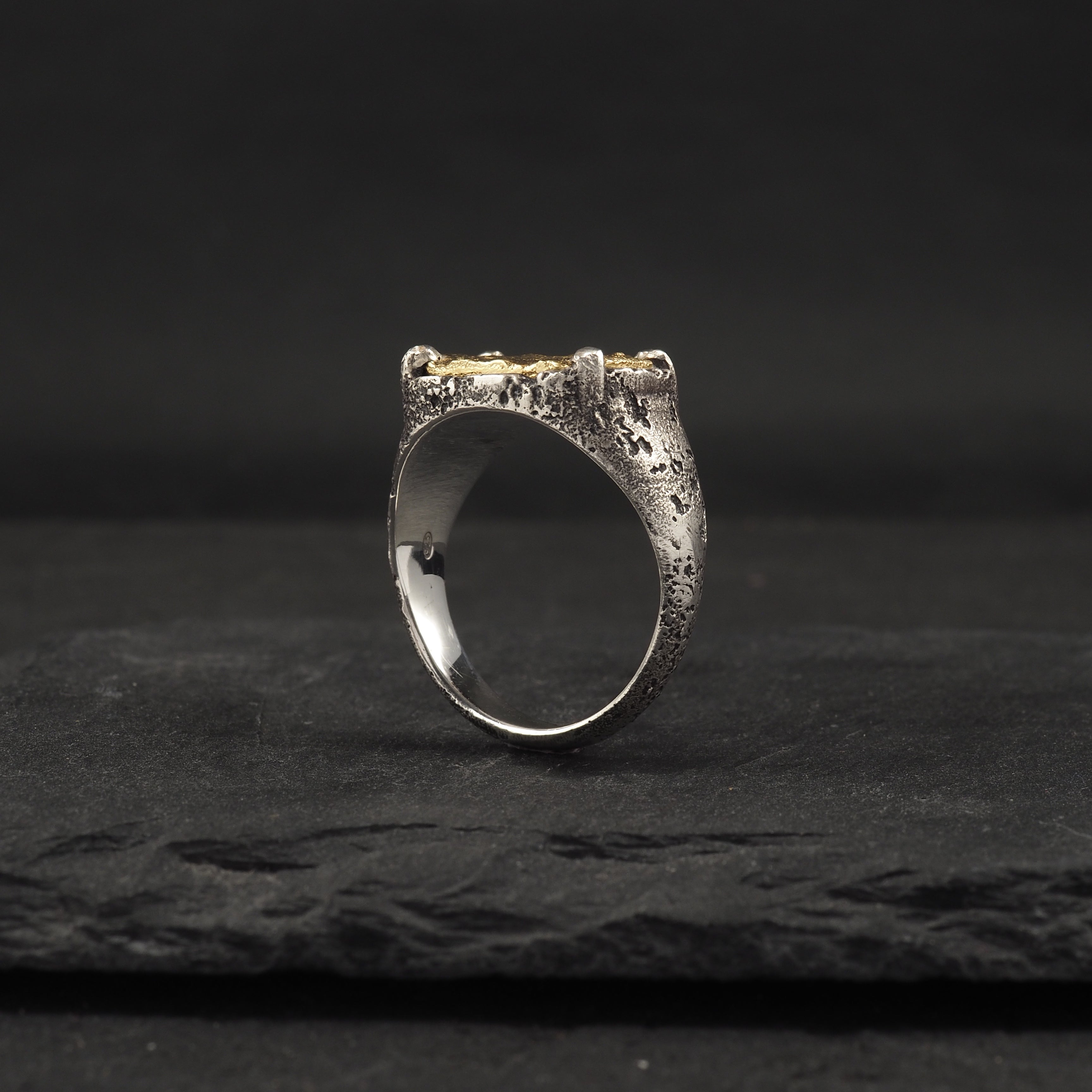 Terra medallion rectangle signet + sapphire