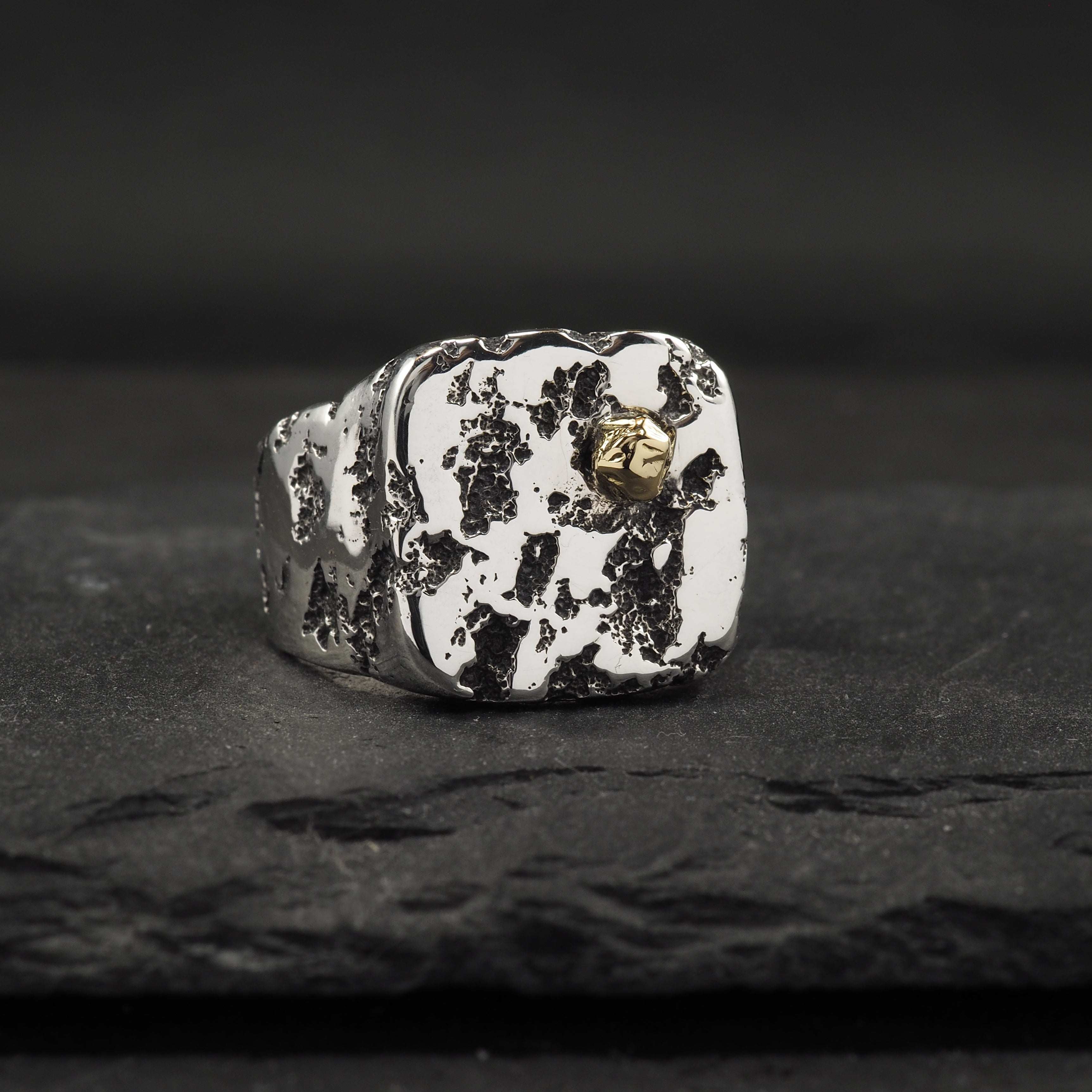 Eon Signet Ring + Gold Rock